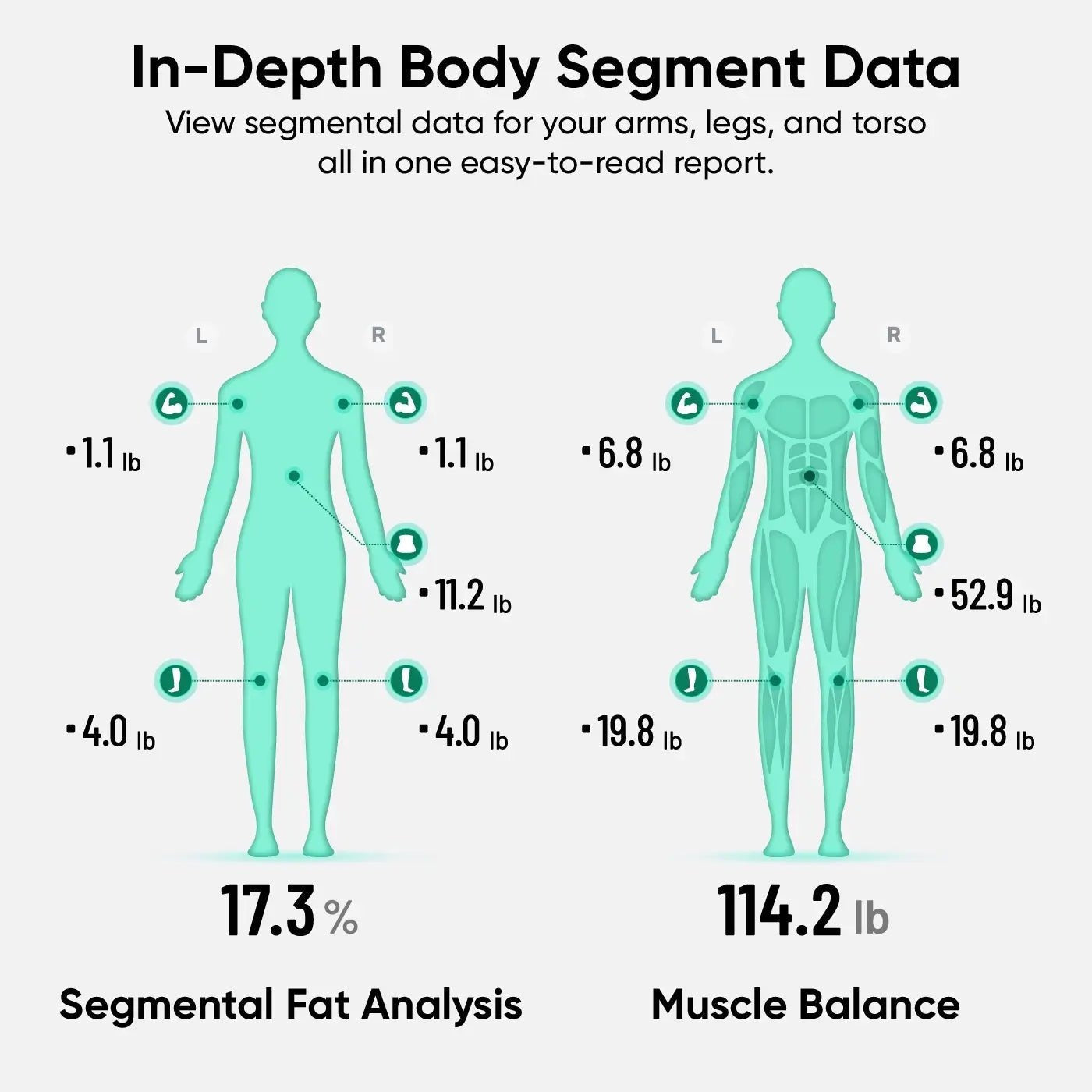 Wyze Scale Ultra BodyScan
