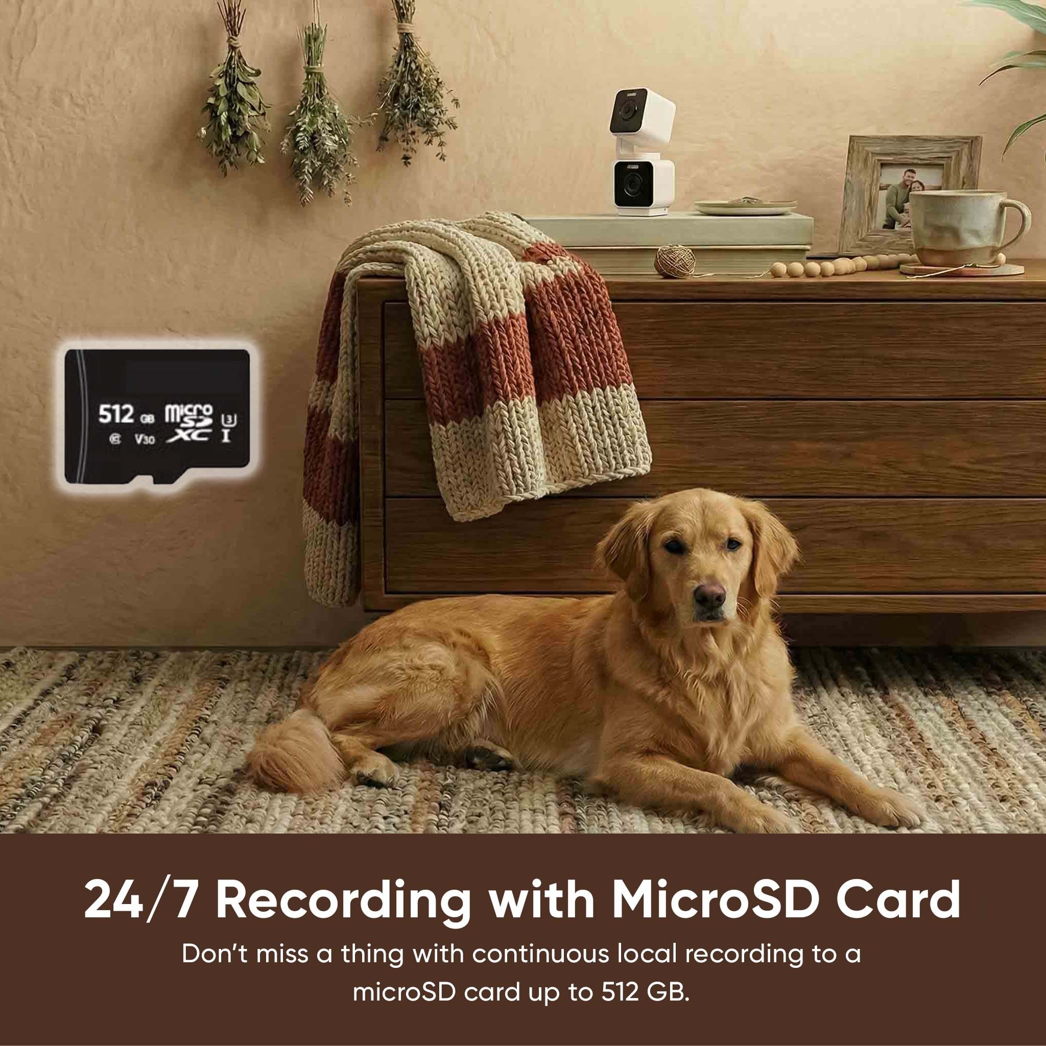 Pet Monitoring Plus