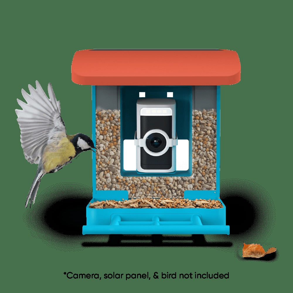 Wyze Bird Feeder