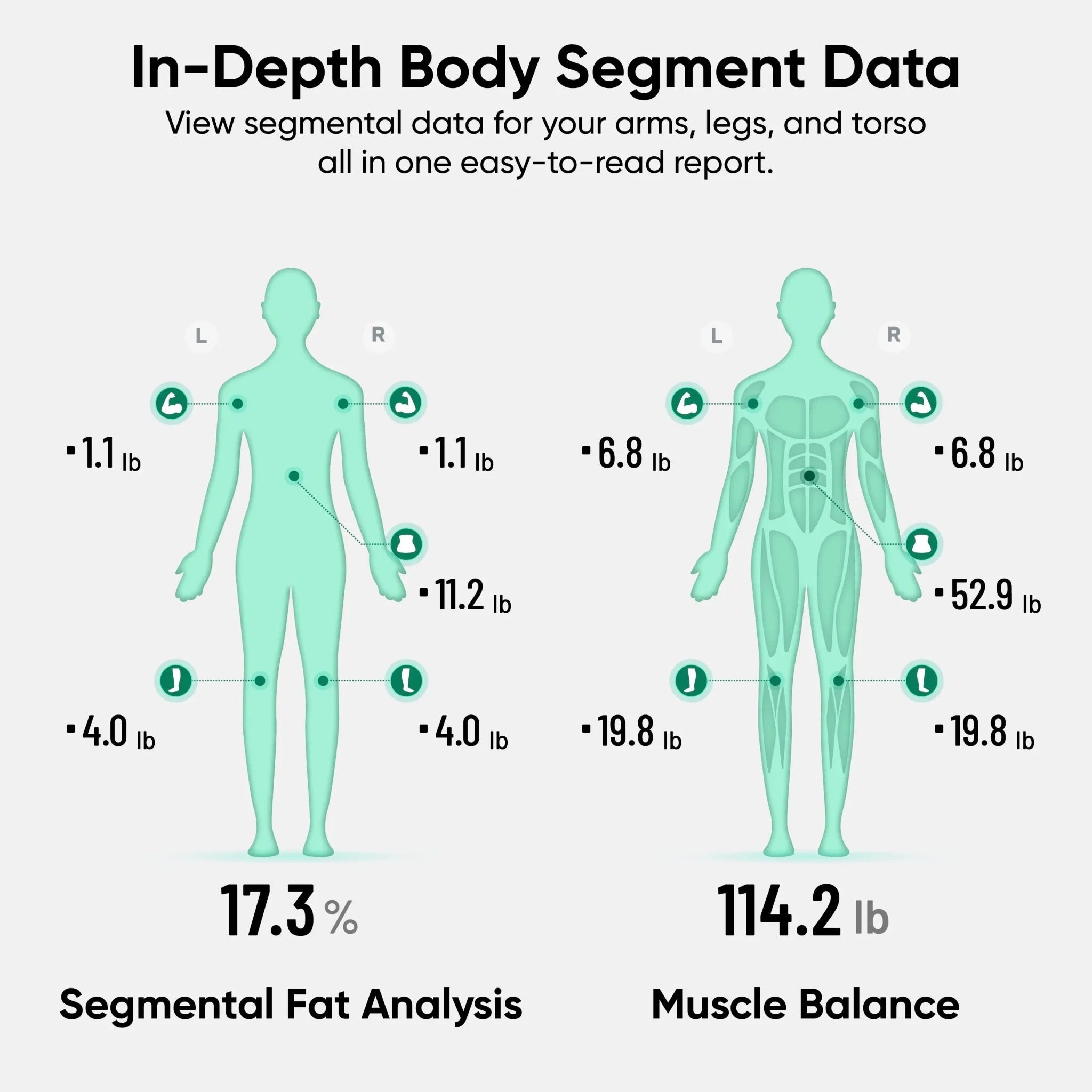 Wyze Scale BodyScan