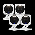 Small Business Monitoring Basic