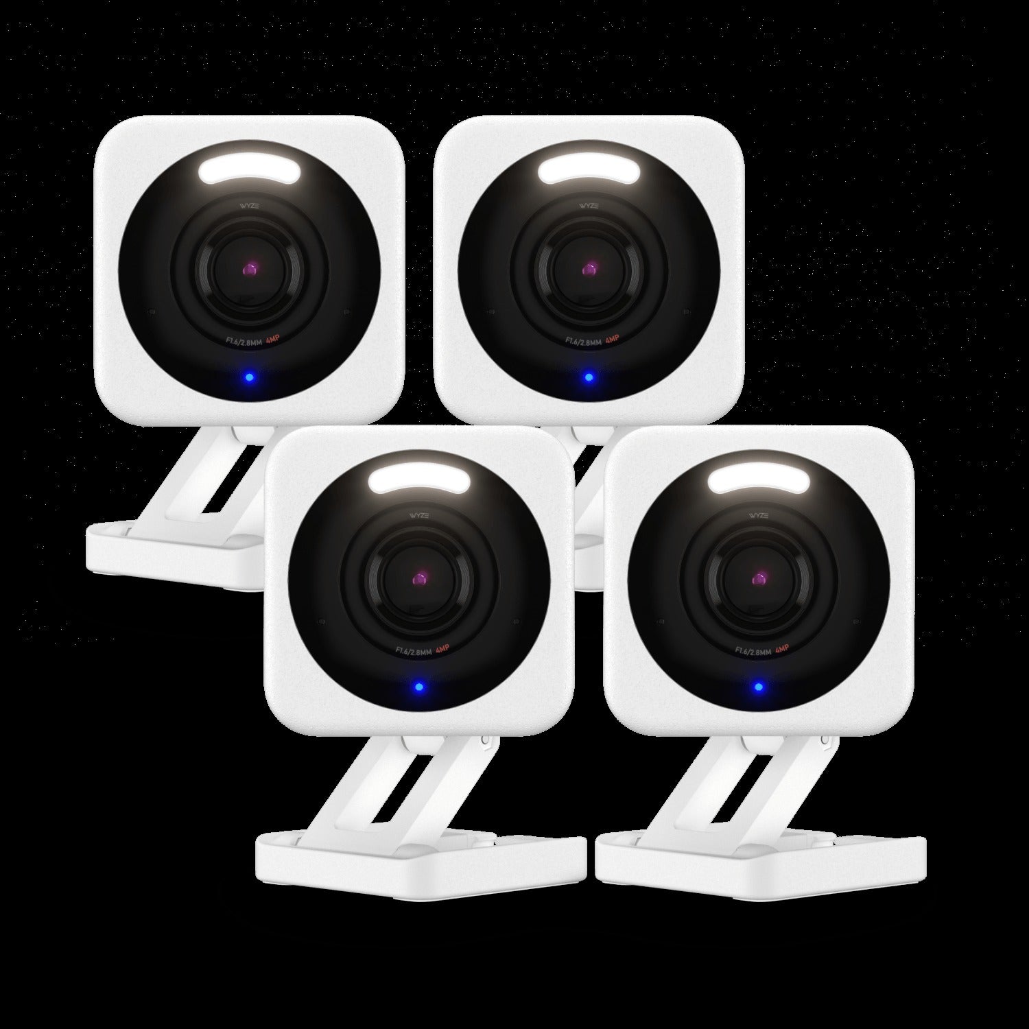 Small Business Monitoring Basic