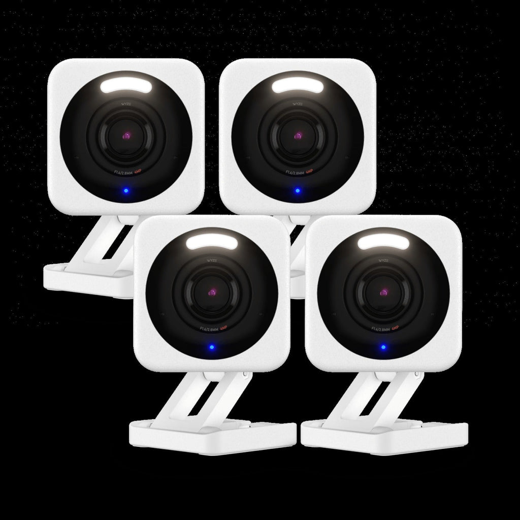 Small Business Monitoring Basic