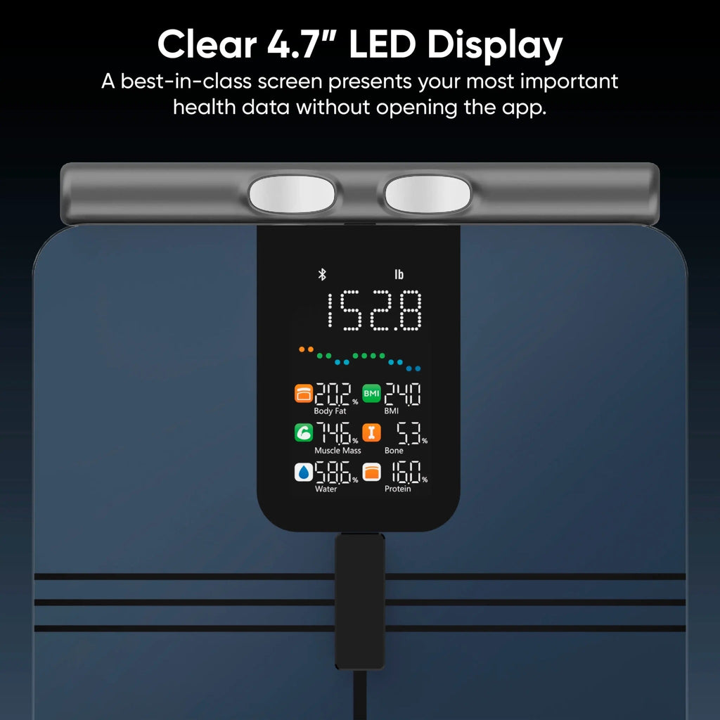 Wyze Scale BodyScan