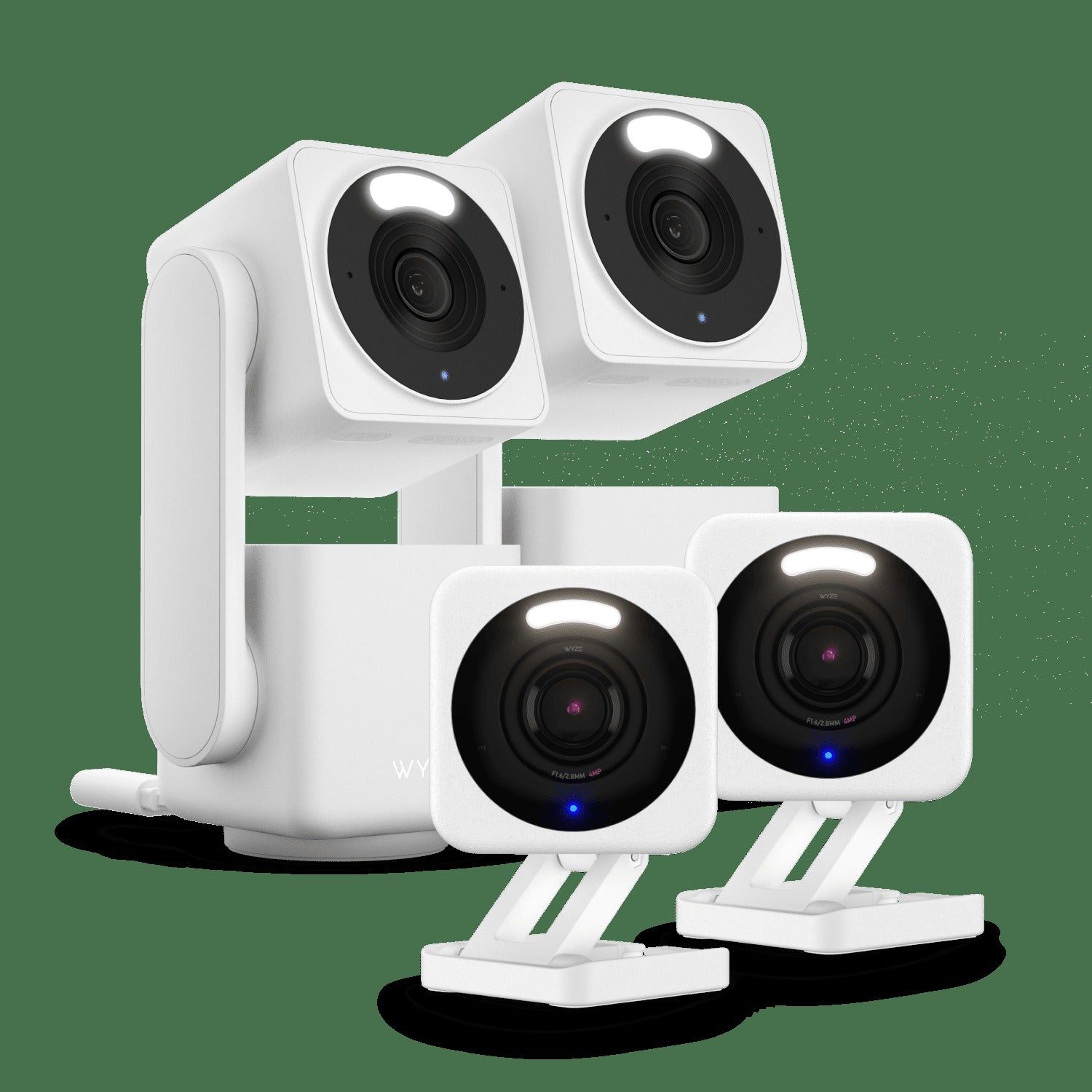Small Business Monitoring Plus