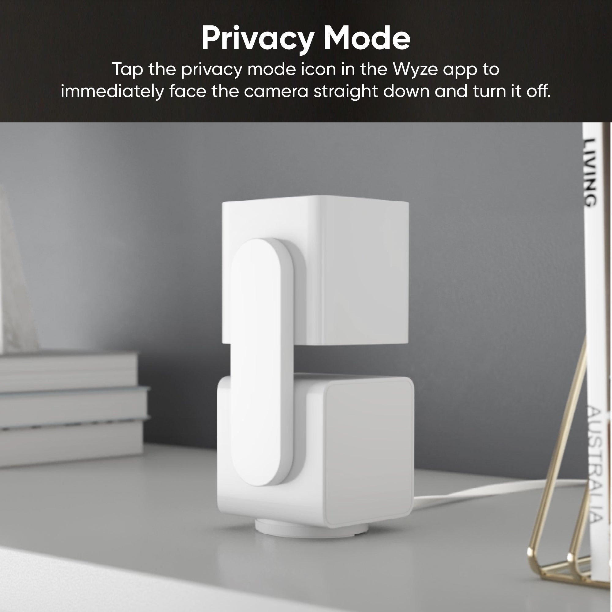 Apartment Basics Kit