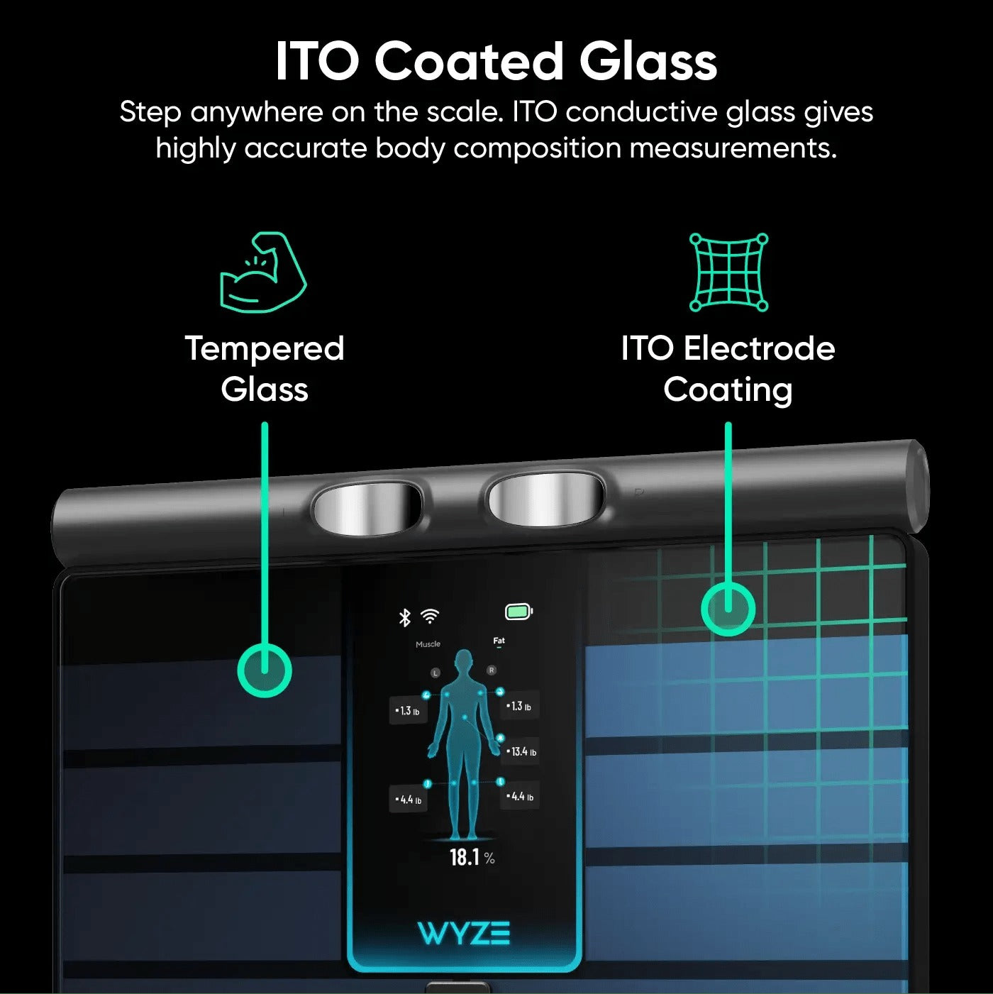 Wyze Scale Ultra BodyScan