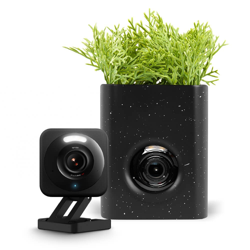 Wyze Cam Vase